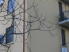 Rivestimento ad intonachino