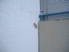 Rivestimento ad intonachino
