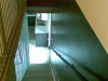 Tinteggiature varie