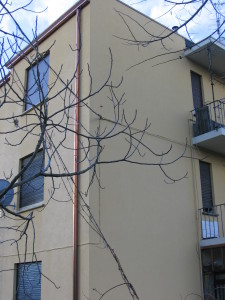 Rivestimenti murali